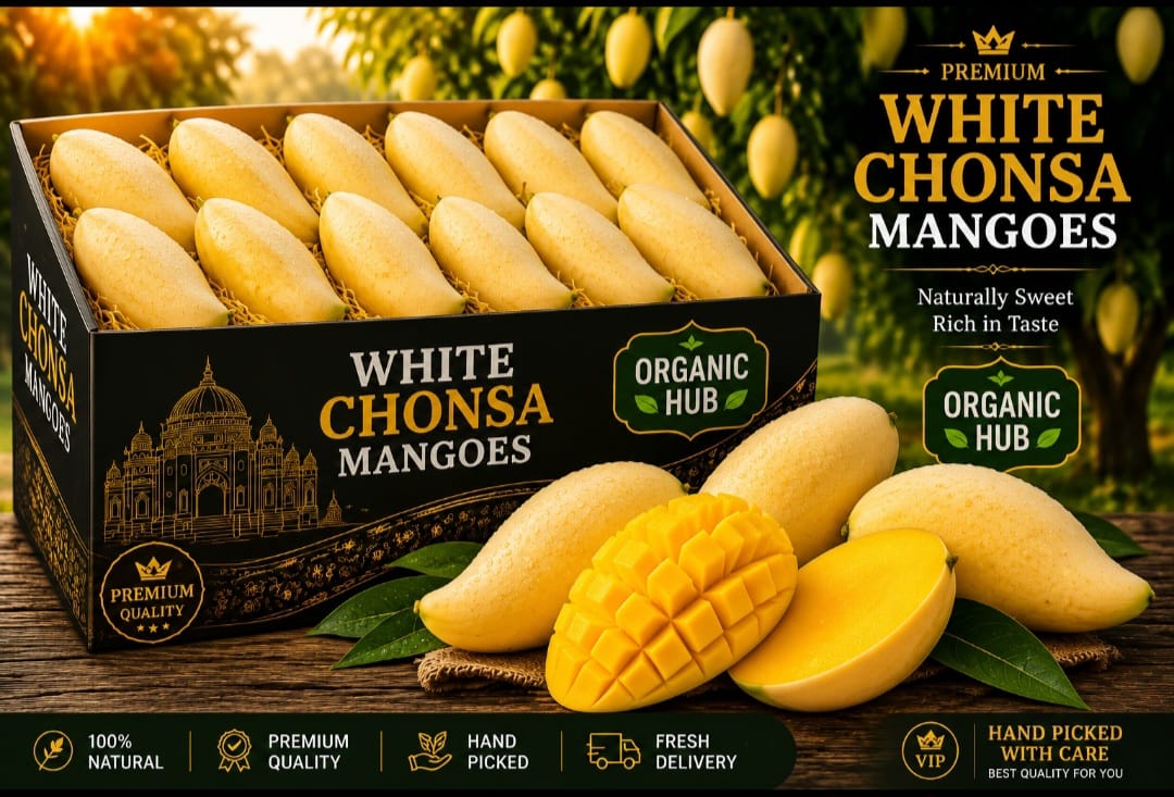 White Chaunsa   (وائٹ چونسہ آم)
